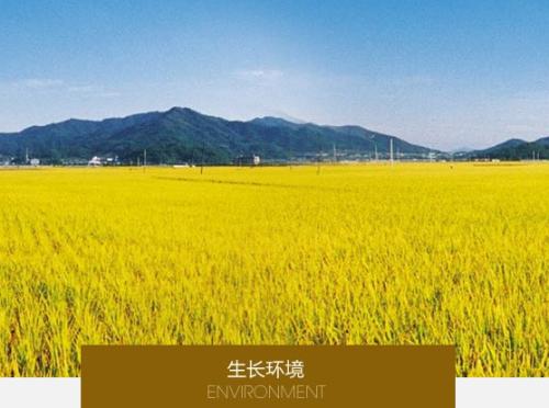 柬埔寨盛产稻米吗,柬埔寨最好的大米品种