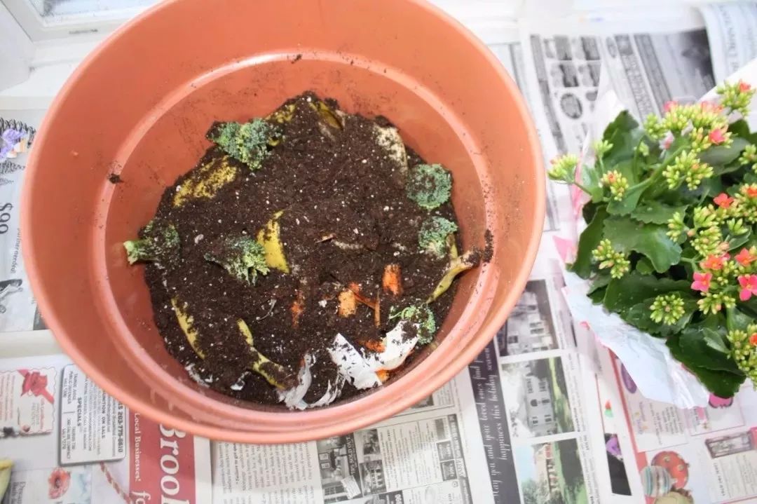 堆肥土制作有机液肥最简单的方法,自制堆肥和有机肥有什么区别