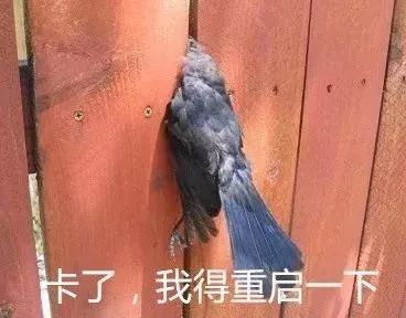 那些看起来特“亚”的人，都在穿什么牌子？