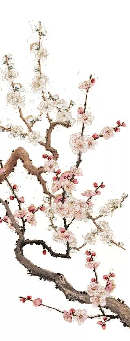 硅藻泥中式背景墙效果图客厅,硅藻泥电视背景墙新中式