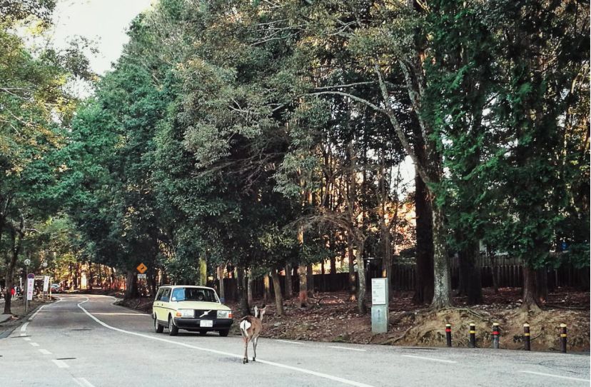 王思聪和李易峰关系有多好,王思聪和李易峰的区别