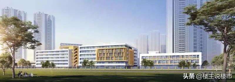 黄埔中央城楼盘讲解视频,黄埔中央城下跌多少