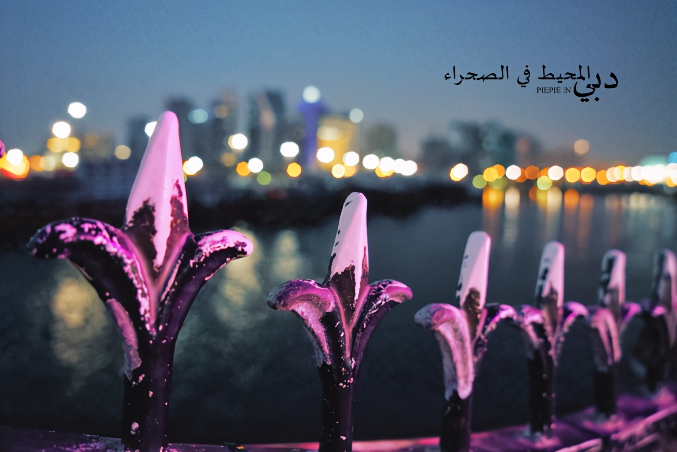 土豪之旅迪拜,迪拜土豪之旅