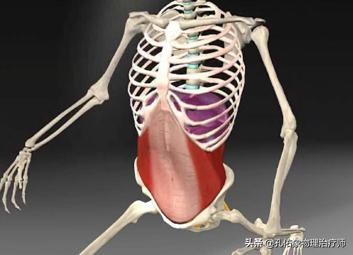 健康科普学这几招缓解产后腰痛,孕晚期突然腰痛厉害是产前征兆吗