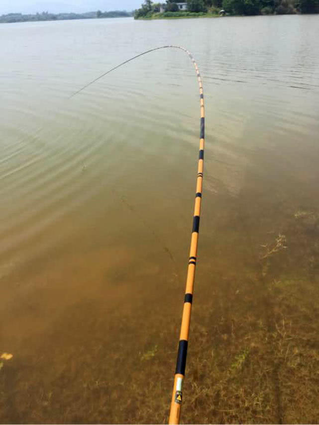 并继鱼竿哪个系列最好,光威捍尊并继鱼竿怎样