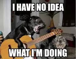 和弦都按不明白,和弦就是按不紧怎么办