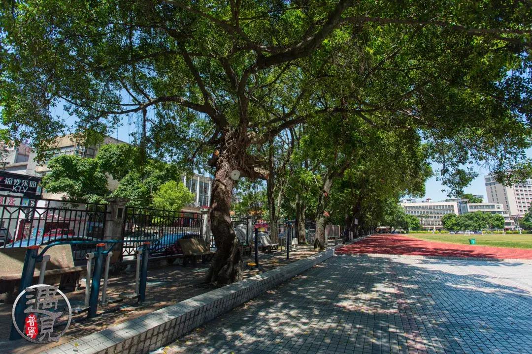 普宁二中操场改造,普宁流沙中华新城旧貌