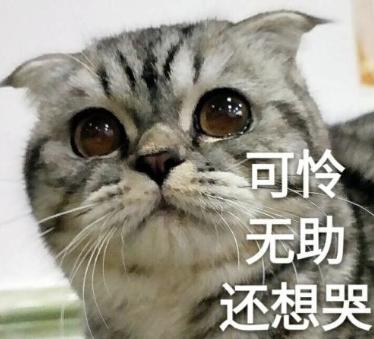 小米再发剃须刀，89块干翻千元大牌？穷人福音