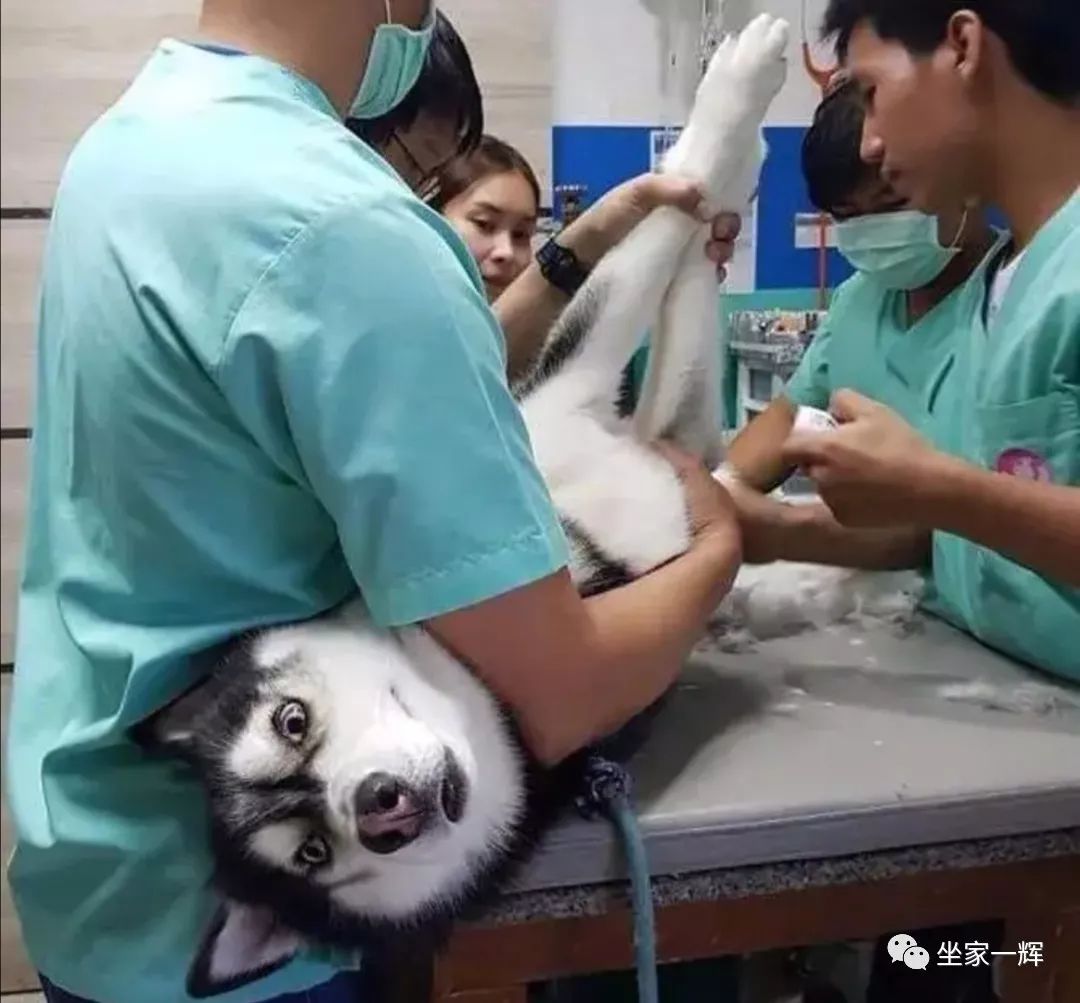 最新防割韭菜套路骗局揭秘,揭秘骗子那些割韭菜套路