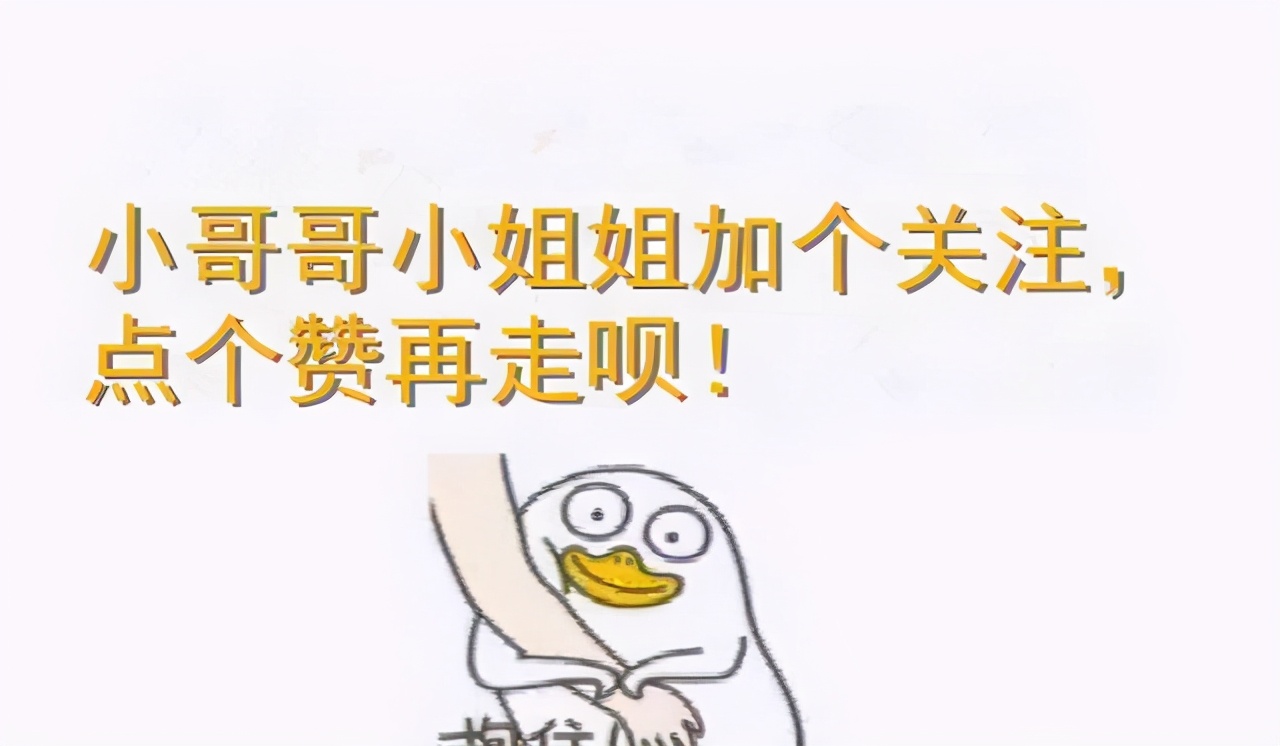 猫妈妈咬死自己的孩子,猫妈妈为什么要咬死自己的孩子