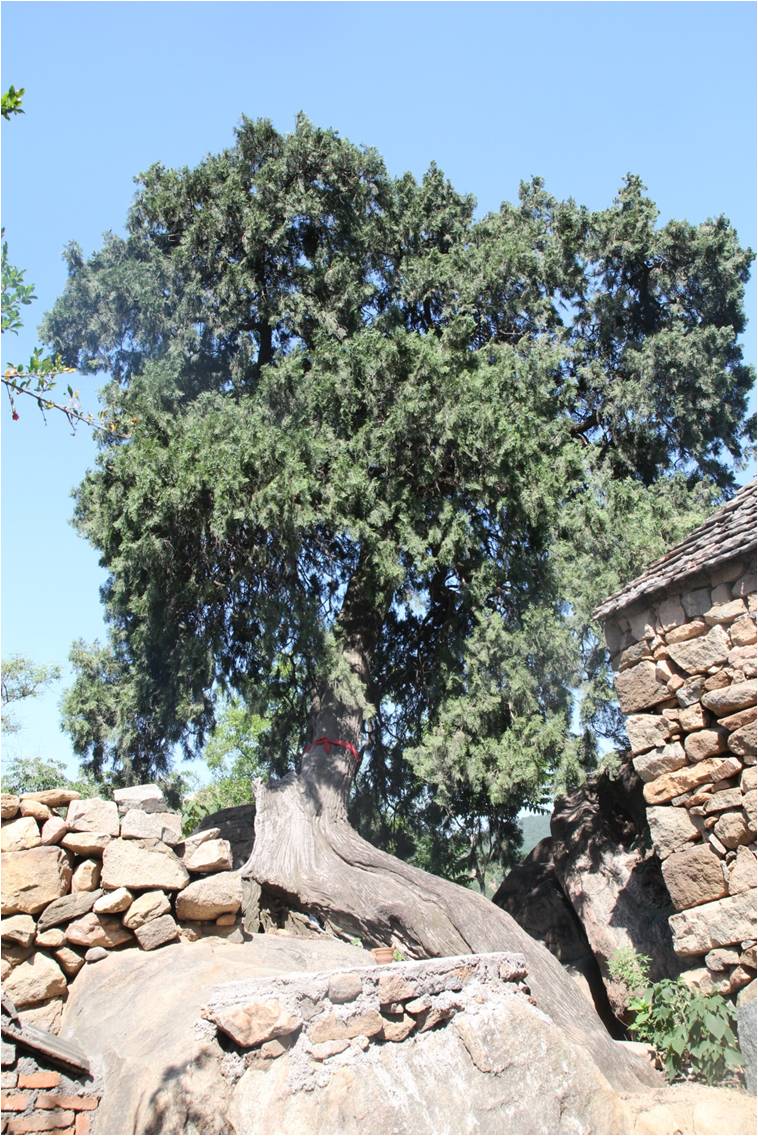 大美徂徕山,徂徕山美景如画