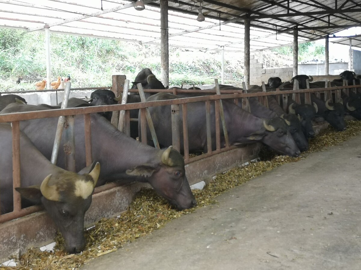 郴州市商机,郴州市发展商机