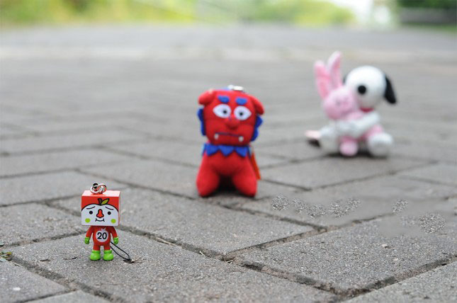 「摄影小白学习篇」3个拍出浅景深的简单技巧