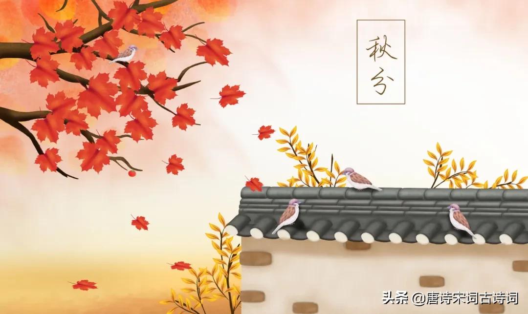 今日秋分轻寒正是可人天,风清露冷秋期半是什么意思