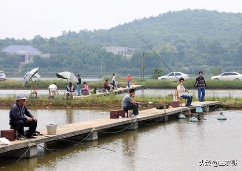 适合农村的家庭致富小项目盘点,农村适合做哪些创业小项目