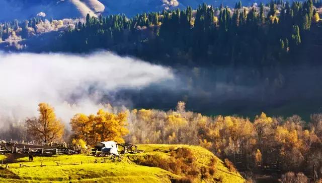 国家认证！*疆新**又一城市成为“中国天然氧吧”，大自然“空调房”就在……