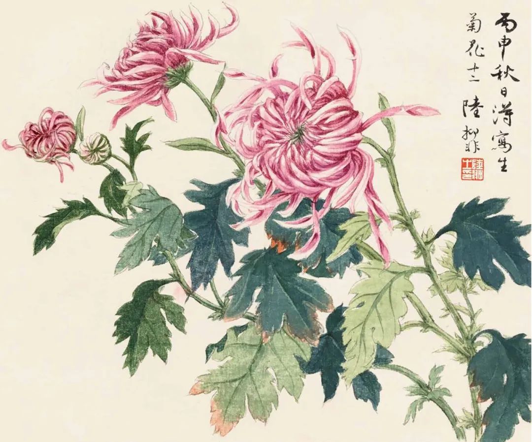 秋菊怎么画简单,秋菊花图片怎么画