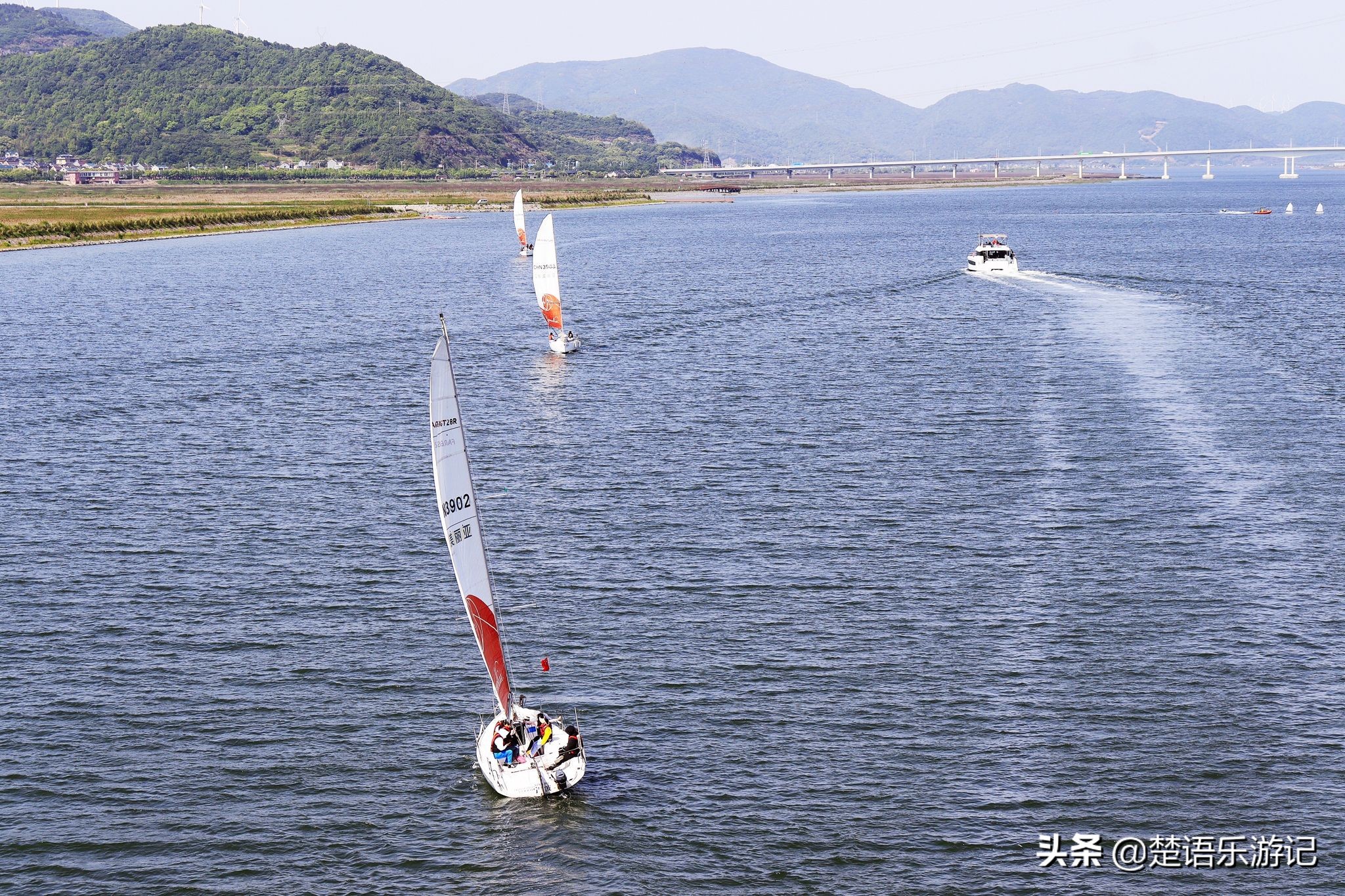 宁波大闸桥花海,宁波风景花海