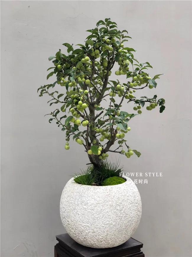 这家不足50㎡的花店，年营业额竟达300多万，被称“花痴”的他是怎么做到的？