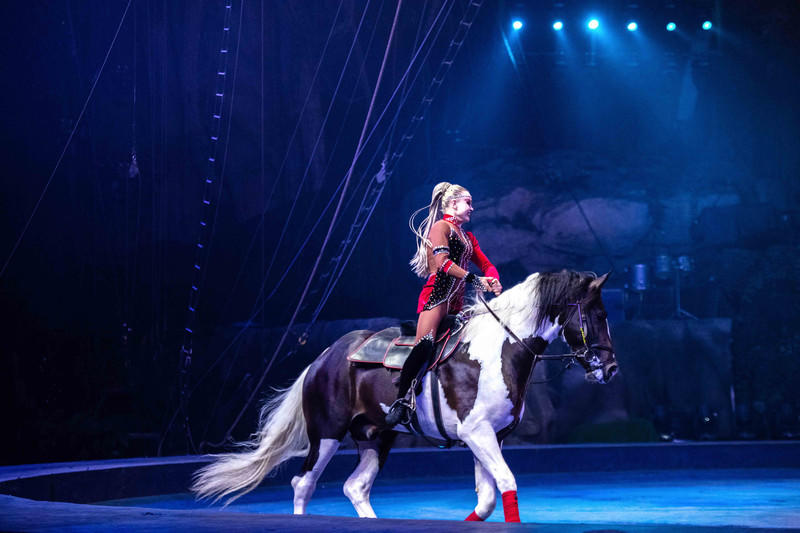 玩转广州长隆野生动物世界之行,广州长隆动物世界游玩攻略图