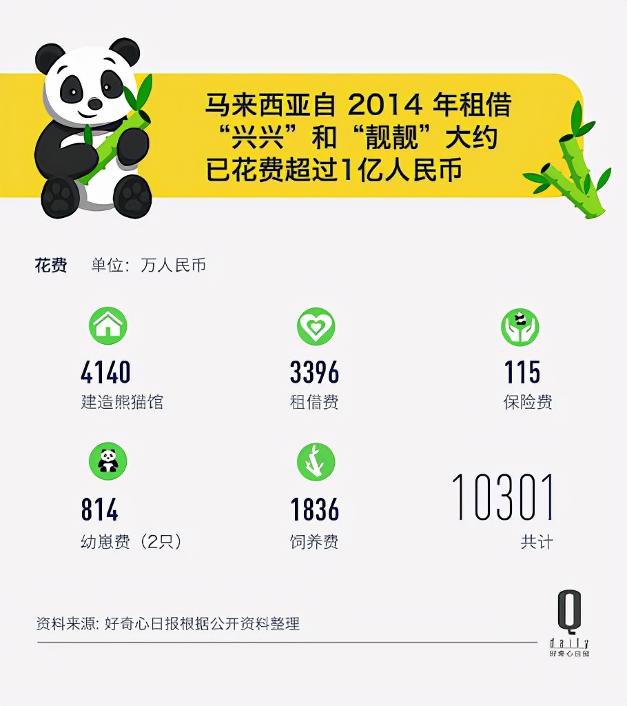 1939年被偷到英国的大熊猫,美国人偷走大熊猫后续