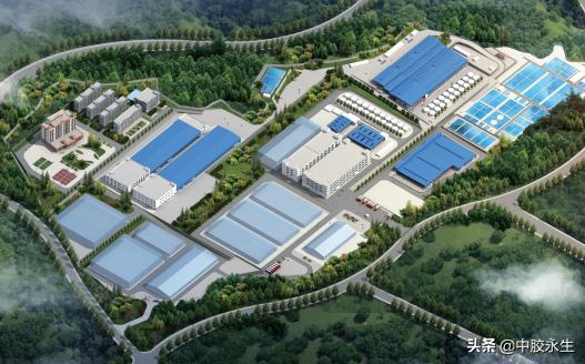 云南中胶永生乳胶,乳胶体验馆西双版纳