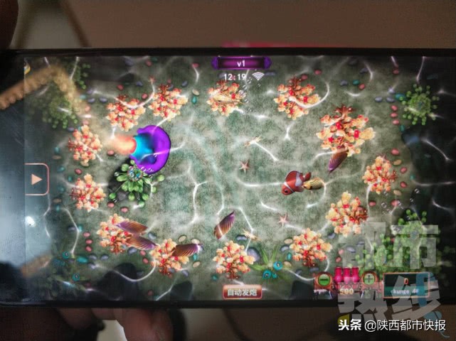 “打鱼”能赚钱？短短半年40多万打水漂当事人想一了百了！