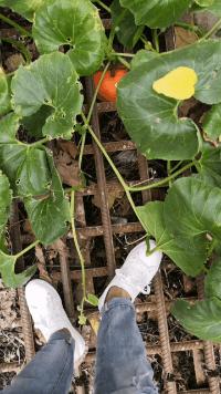 搞笑gif开心一刻我受了太多的委屈,踢足球腿抽筋搞笑gif