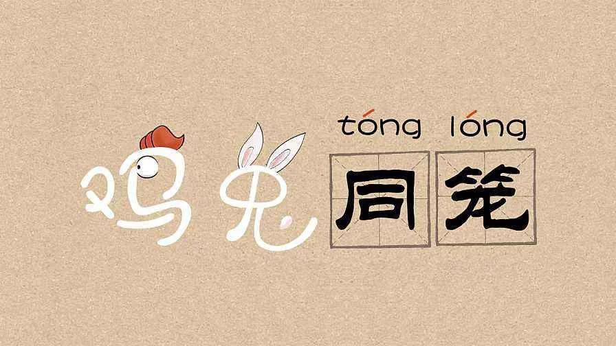 少儿编程重要性,入门编程老师的重要性