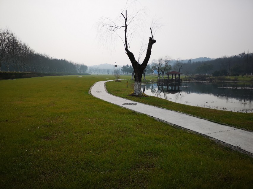 宜兴竹海游和龙背山森林公园游记