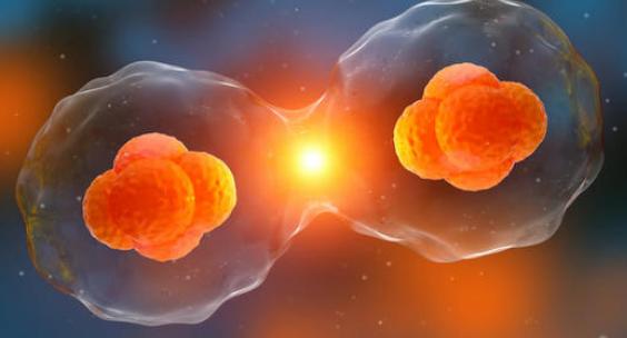 膝关节骨性关节炎锻炼方法示意图,膝盖疼痛当心膝关节骨性关节炎