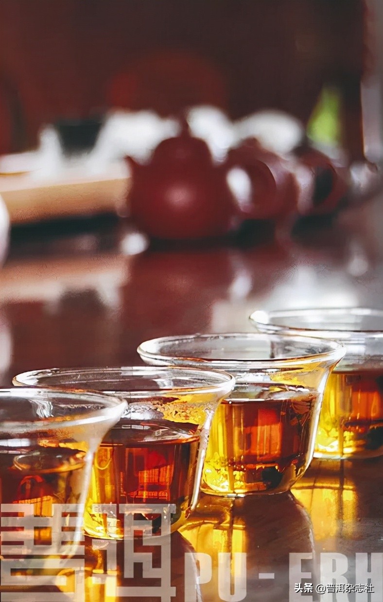 古树茶贵但贵的不一定是古树,古树茶好喝吗值得买吗知乎