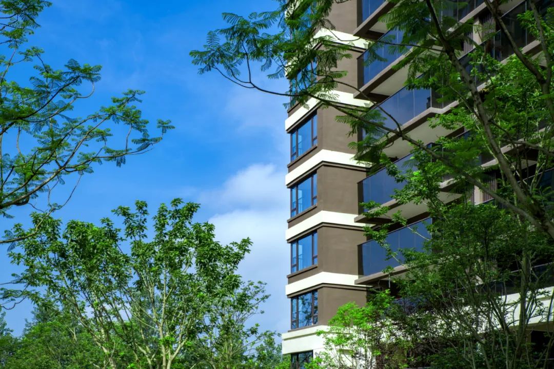 重庆礼嘉才是真正的繁华之地,重庆礼嘉人气