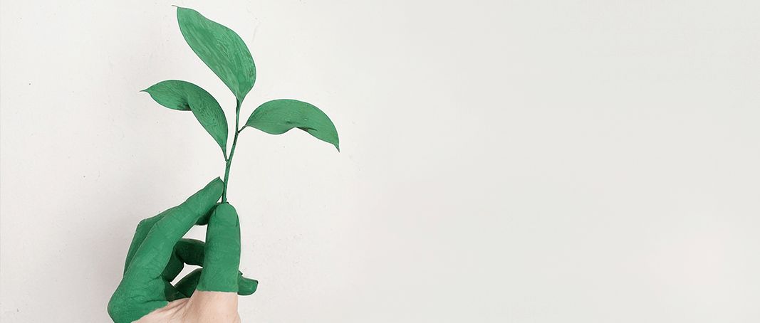 易快报付款申请,易快报融资