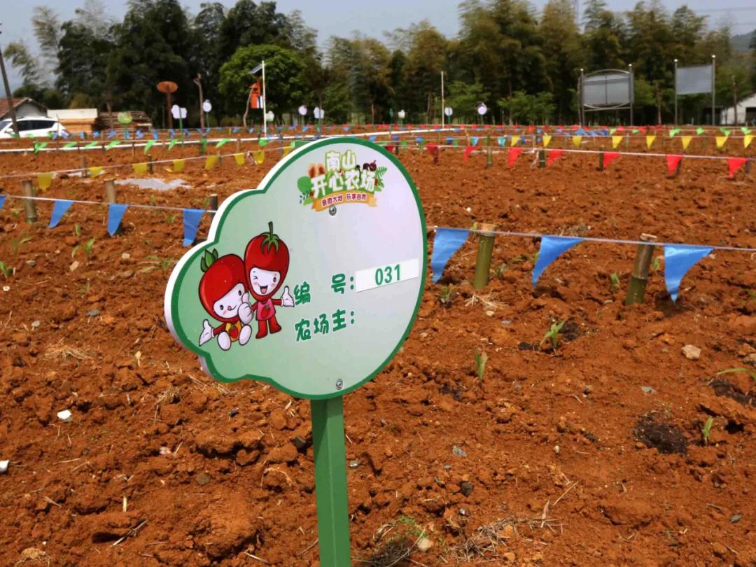 一起去瓶窑“拿块地”！古城旁，南山下，50个平方200元......