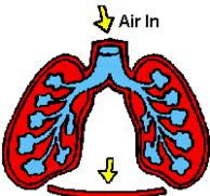 打嗝有什么大病前兆,打嗝预示哪六种疾病
