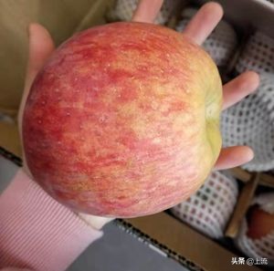 *疆新**到底为什么这么大大大大大？