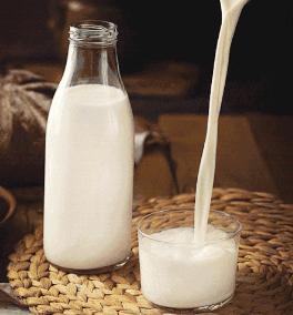 茶贝熊奶茶店现状,茶贝熊奶茶店是什么