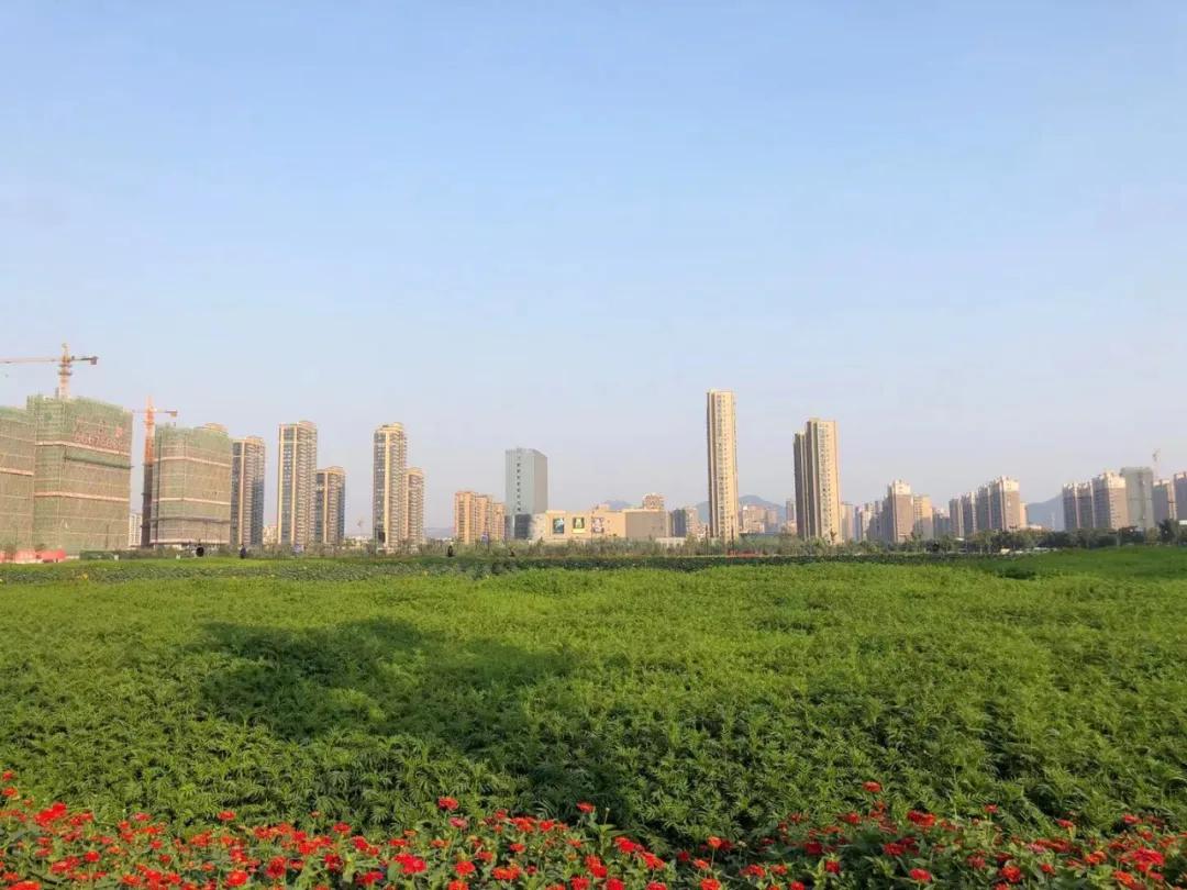 杭州宋都如意云境崇贤中签率,崇贤房子的中签率