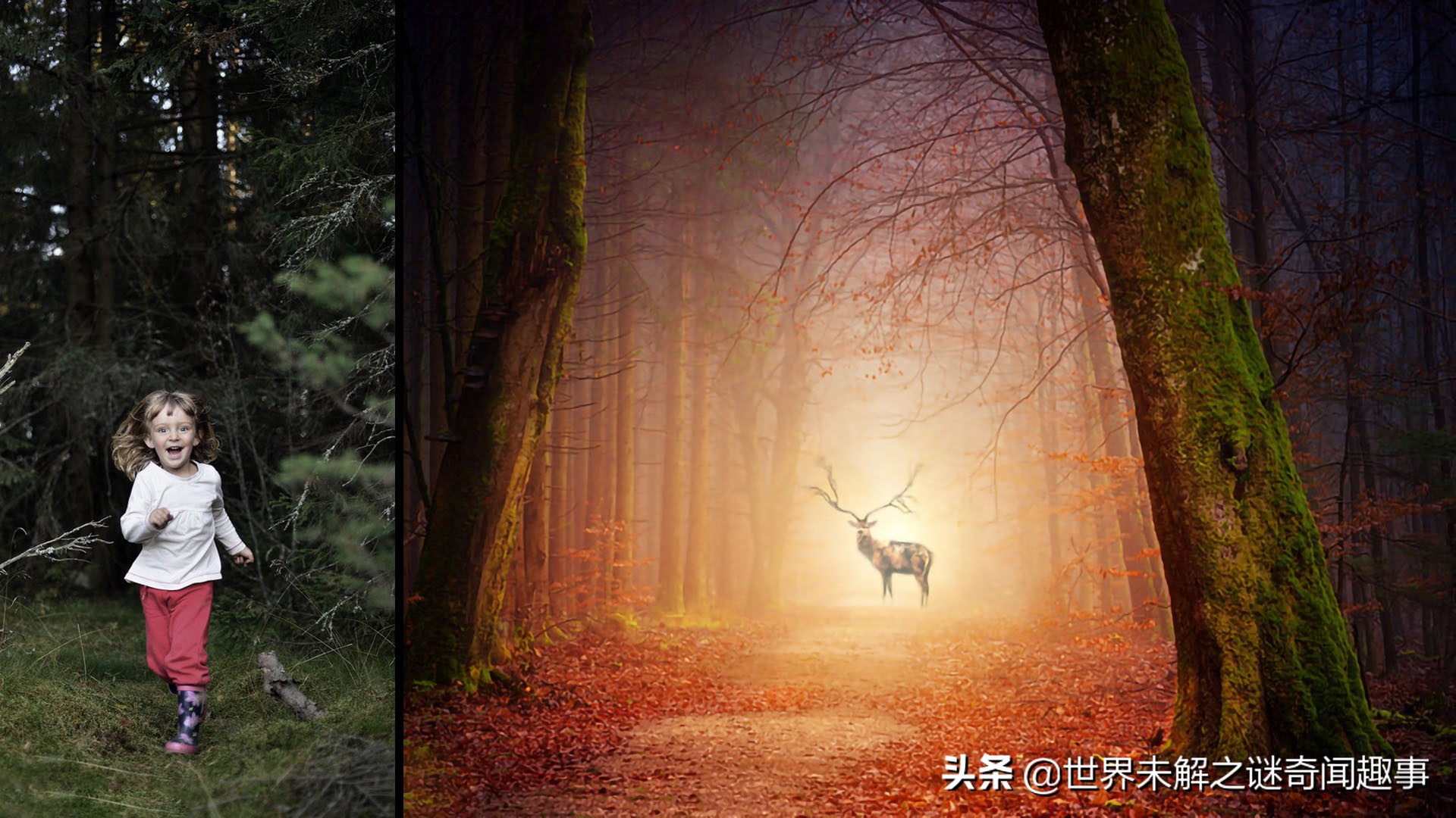 为何霍亚森林没人敢进？女孩无意闯入消失5年，称里面有时空之门