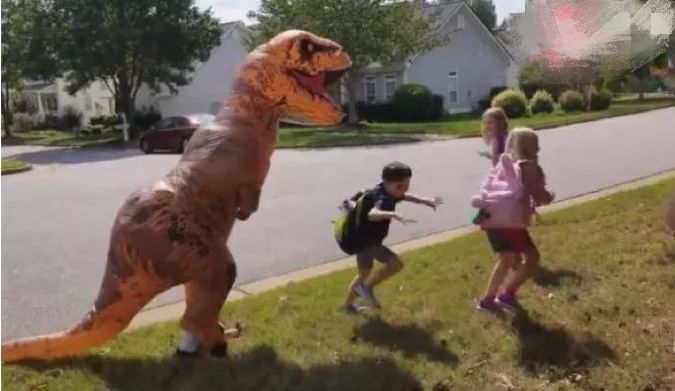 双11的囤货,来自双十一的囤货