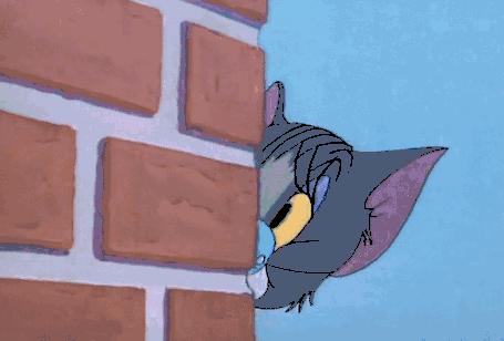 网红睫毛膏推荐,网红睫毛膏爆款测试