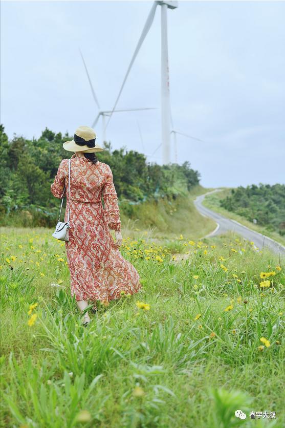 长沙附近有发电风车景点,长沙一日游玩最佳地方免费露营
