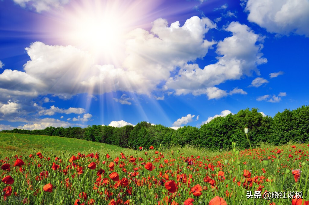 买一赠一账务处理和税务处理,买一赠一销售方式的税务处理