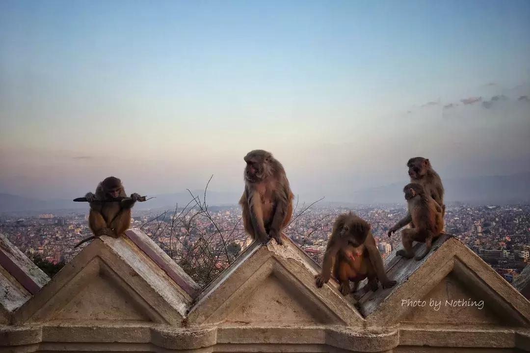 徒步小游记,徒步西藏小白