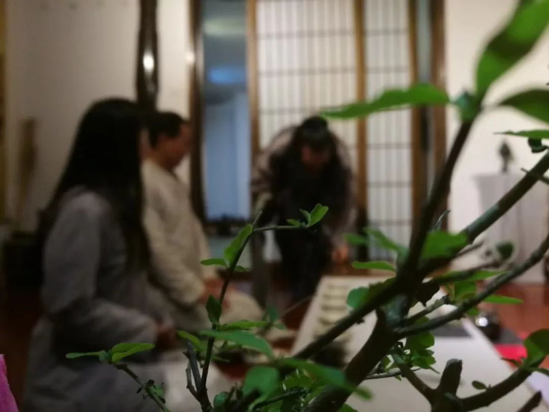 长安雅士古琴曲欣赏,长安雅士抚琴演奏