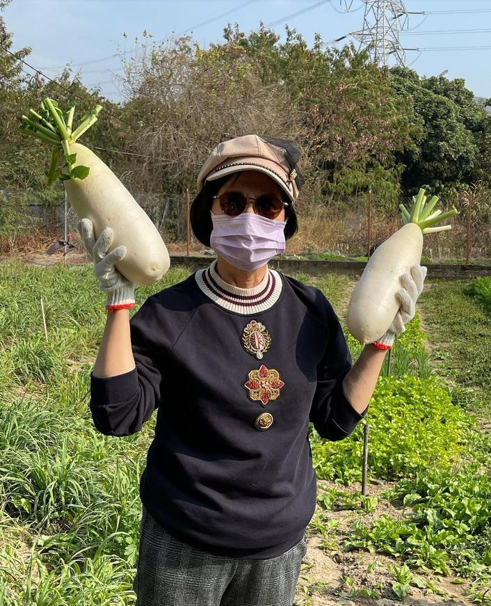 汪明荃的鞋子,汪明荃出席活动照