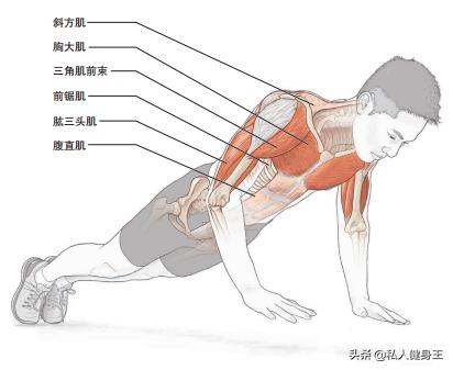 5个动态俯卧撑动作,有效增强上肢爆发力,在家徒手就可以练!