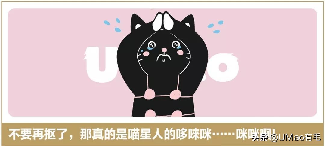 铲屎官别怕猫咪来保护你,猫咪对铲屎官的占有欲