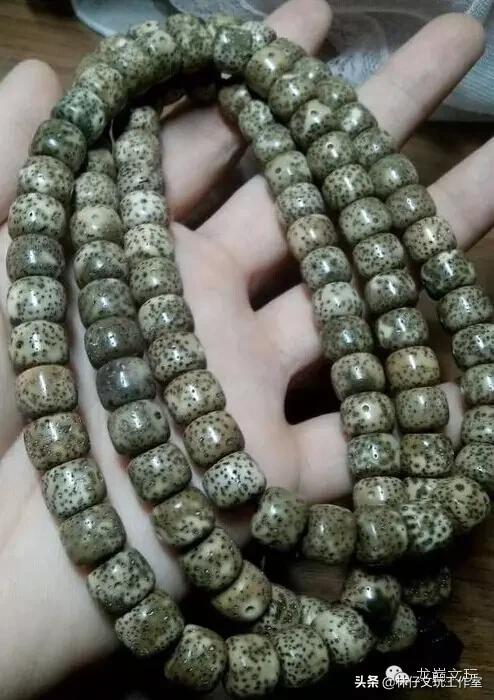 玩星月菩提算什么段位,星月菩提顺白盘玩难度